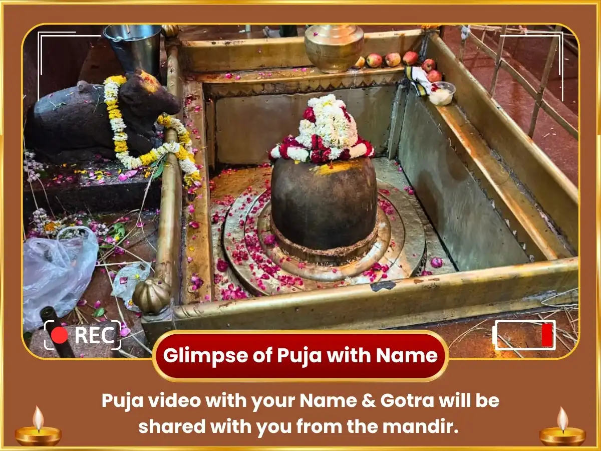 Pitra Paksh Vishesh Aditya Hridayam Stotra Paath sahit 100 Lota Jal Arghya & 21,000 Rahu Beej Mantra Jaap puja gallery 2