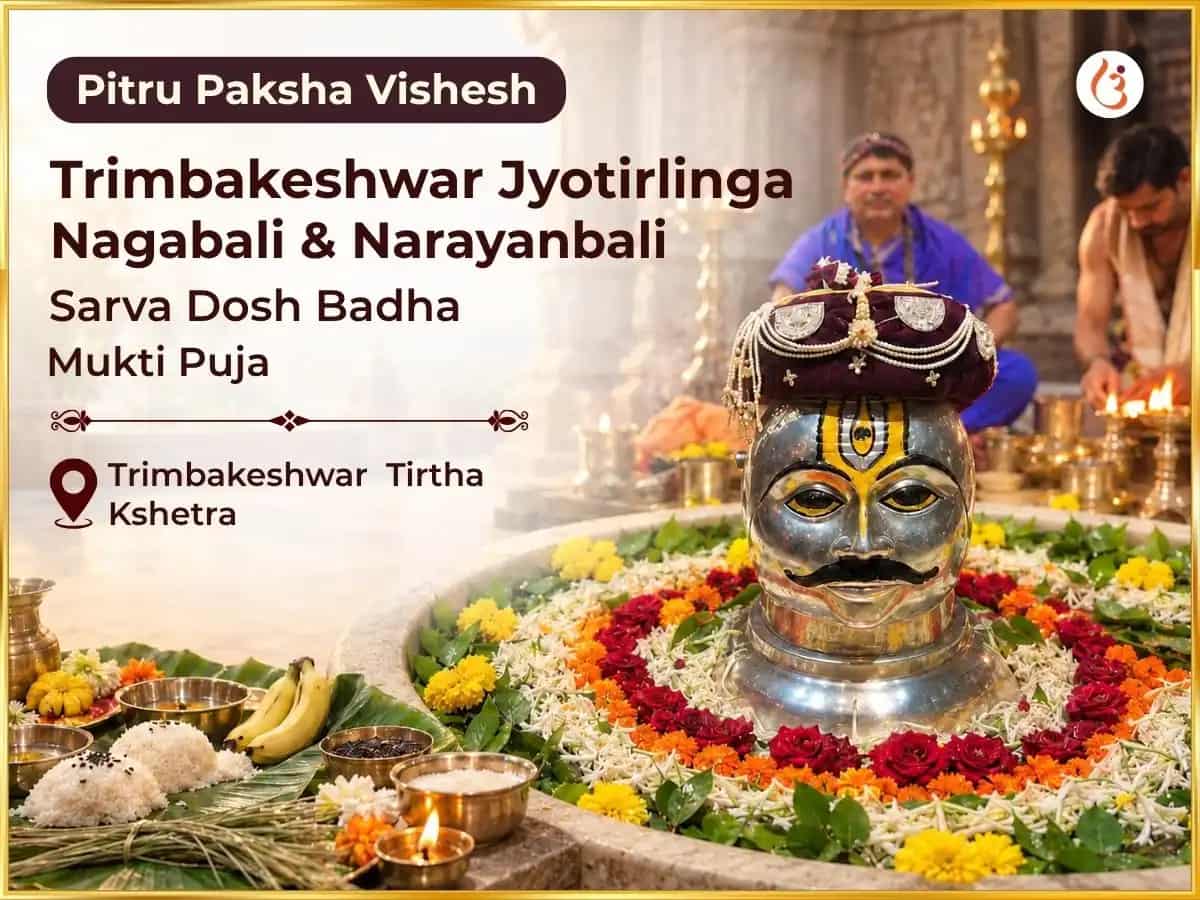 Pitru Paksha Vishesh Trimbakeshwar Jyotirlinga Nagabali & Narayanbali Sarva Dosh Badha Mukti Puja puja image 1