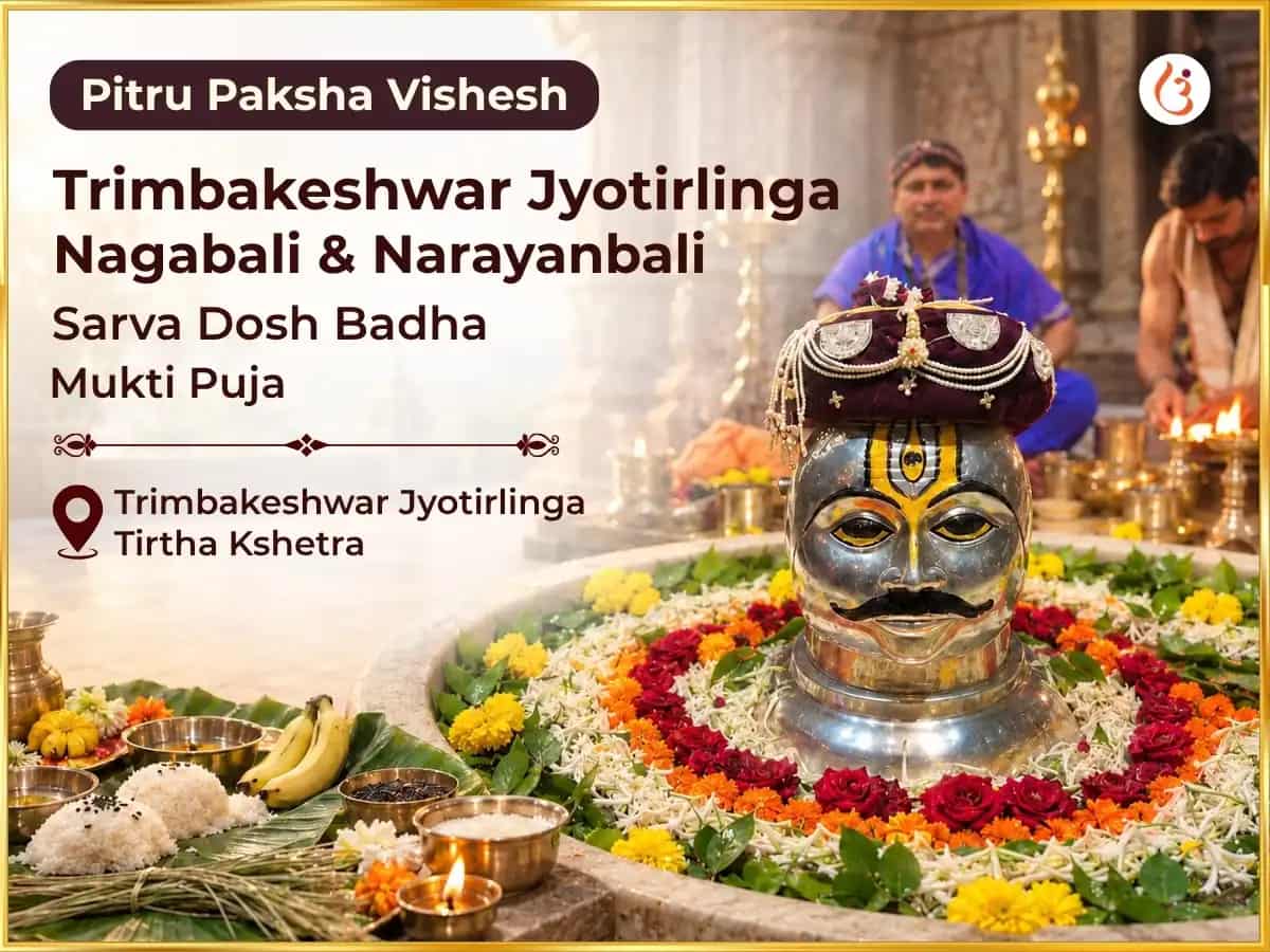 Pitru Paksha Vishesh Trimbakeshwar Jyotirlinga Nagabali and Narayanbali Sarva Dosh Badha Mukti Puja puja image 1