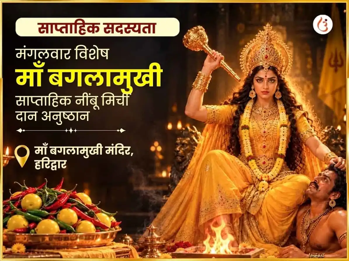 मंगलवार विशेष माँ बगलामुखी साप्ताहिक नींबू मिर्ची दान puja image 1