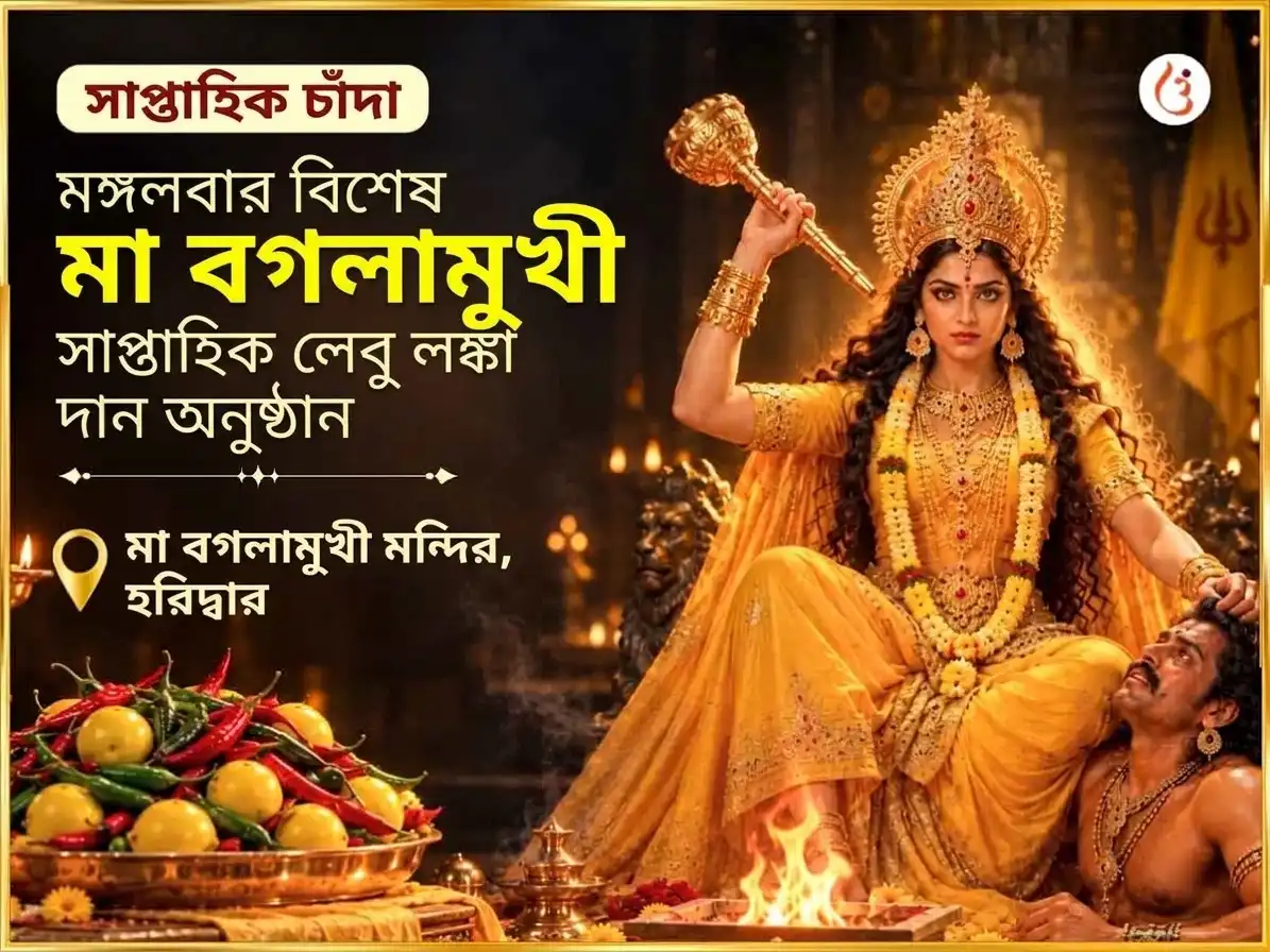 মঙ্গলবার বিশেষ মা বগলামুখী সাপ্তাহিক নিম্বু মির্চি দান puja image 1