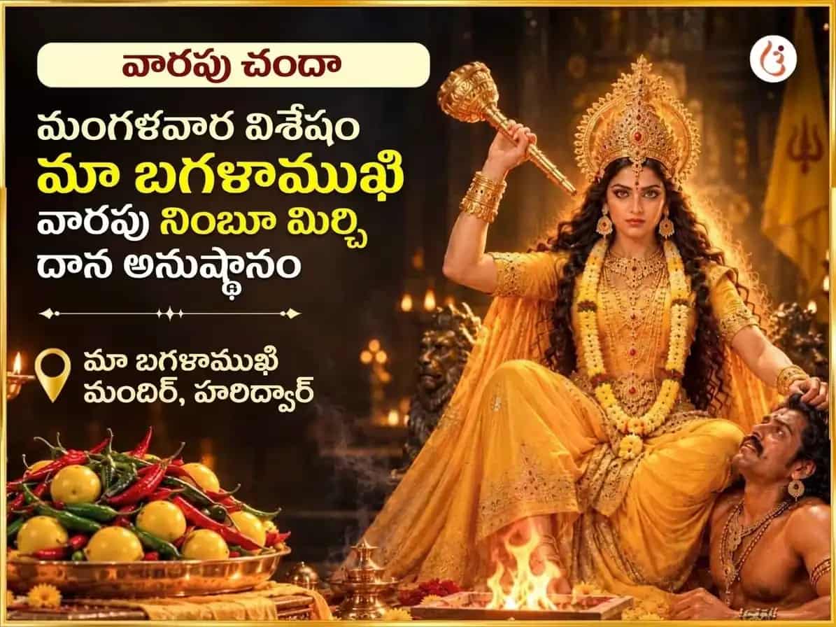 మంగళవార విశేష్ మా బగళాముఖి వారపు నింబూ మిర్చి దాన్ puja image 1