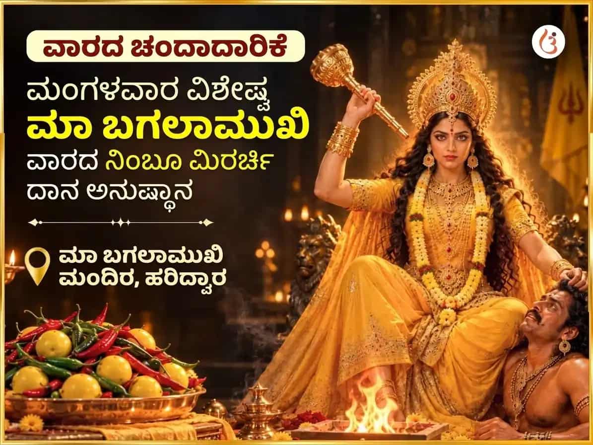 ಮಂಗಳವಾರ ವಿಶೇಷ ಮಾ ಬಗಲಾಮುಖಿ ಸಾಪ್ತಾಹಿಕ ನಿಂಬೂ ಮಿರ್ಚಿ ದಾನ puja image 1