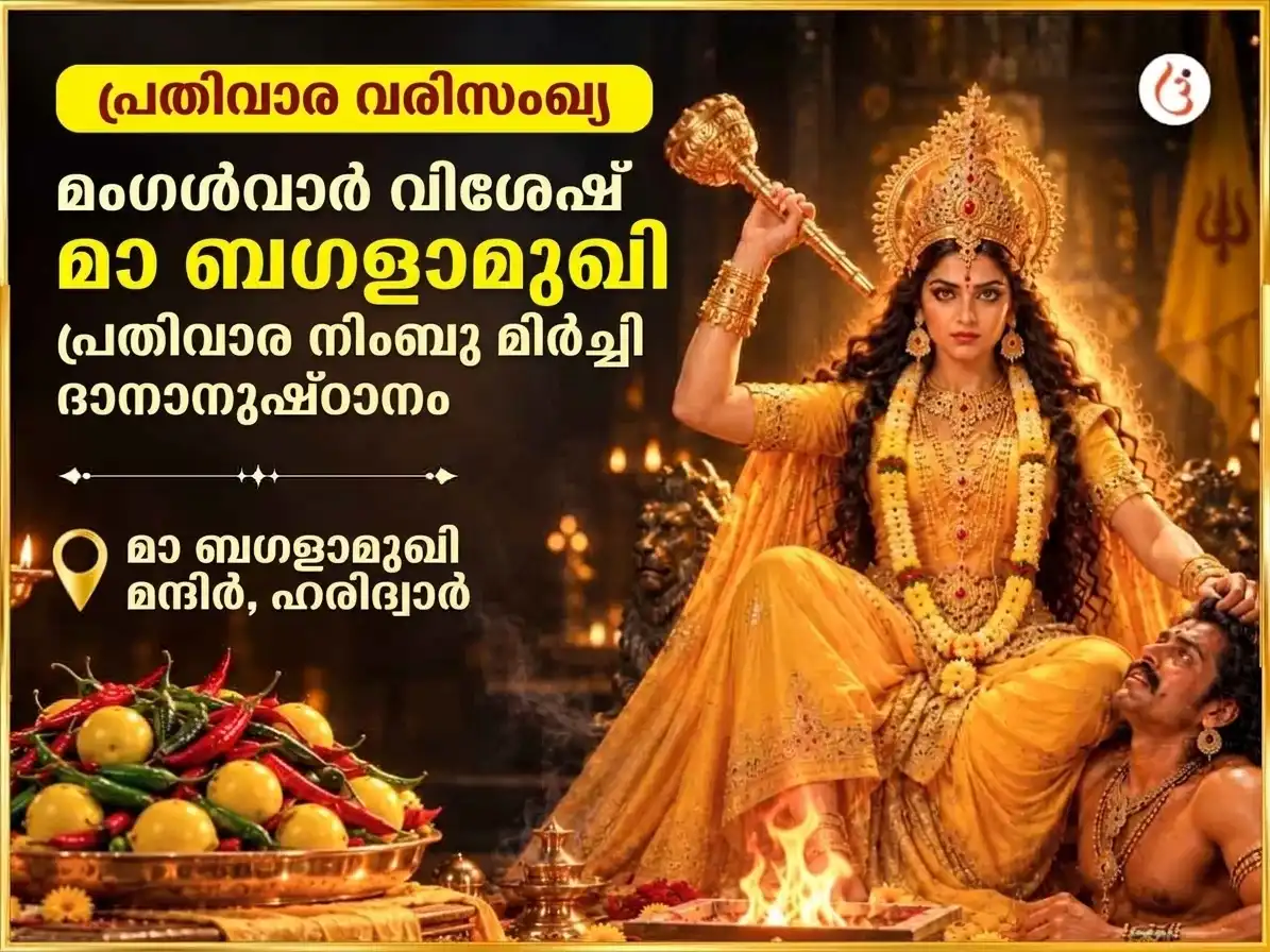 മംഗൾവാർ വിശേഷ് മാ ബഗളാമുഖി പ്രതിവാര നിമ്പൂ മിർച്ചി ദാൻ puja image 1