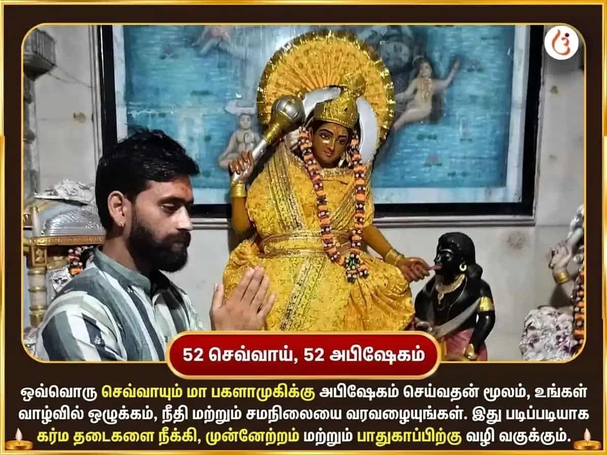 செவ்வாய் விசேஷ மா பக்ளாமுகி வாராந்திர எலுமிச்சை மிளகாய் தானம் puja gallery 2