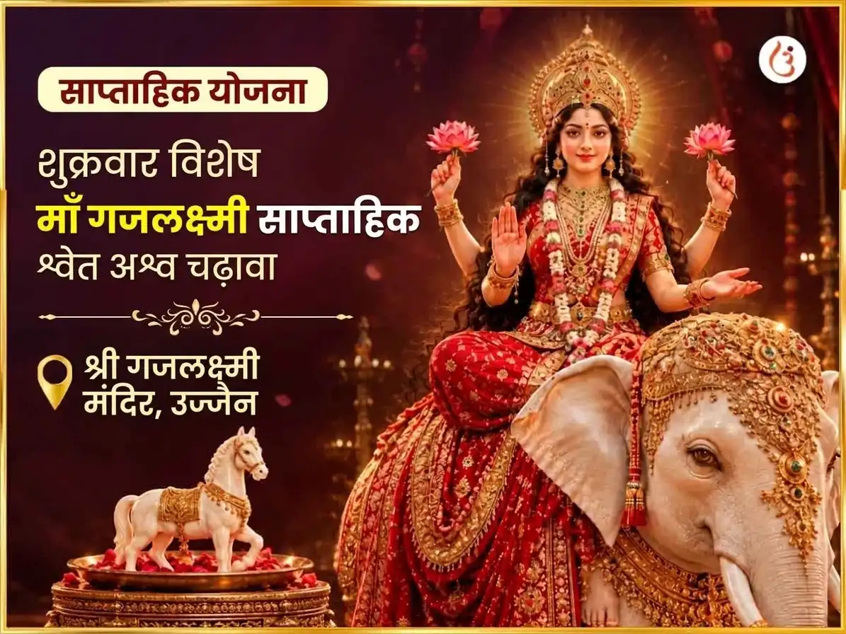 शुक्रवार विशेष माँ गजलक्ष्मी साप्ताहिक श्वेत अश्व अर्पण सेवा puja image 1