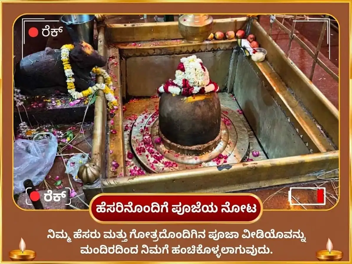 ಪಿತೃ ಪಕ್ಷ ವಿಶೇಷ ಆದಿತ್ಯ ಹೃದಯಂ ಸ್ತೋತ್ರ ಪಾಠ ಸಹಿತ 100 ಲೋಟ ಜಲ ಅರ್ಘ್ಯ ಮತ್ತು 21,000 ರಾಹು ಬೀಜ ಮಂತ್ರ ಜಪ puja gallery 2