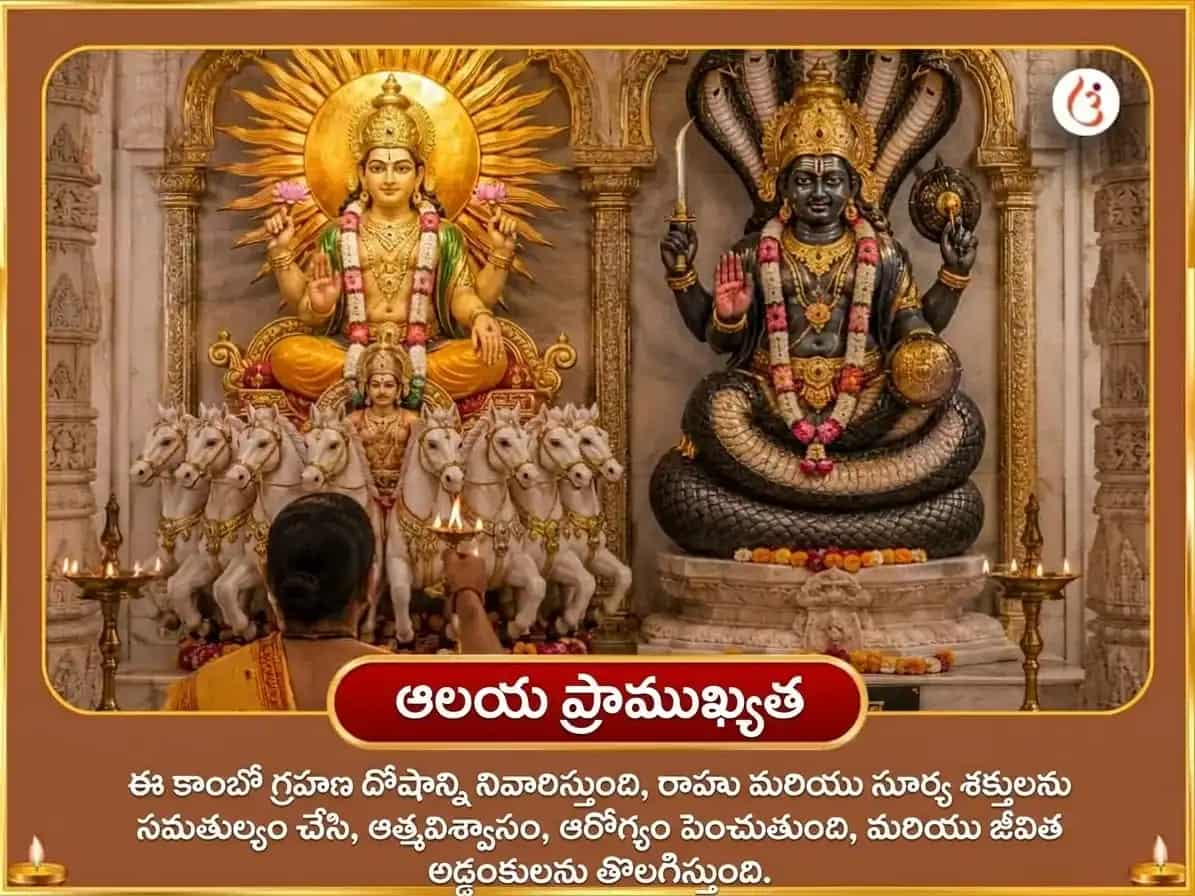 పితృ పక్ష విశేష్ ఆదిత్య హృదయం స్తోత్ర పాఠ సహిత 100 లోటాల జల అర్ఘ్య మరియు 21,000 రాహు బీజ మంత్ర జపం puja gallery 5