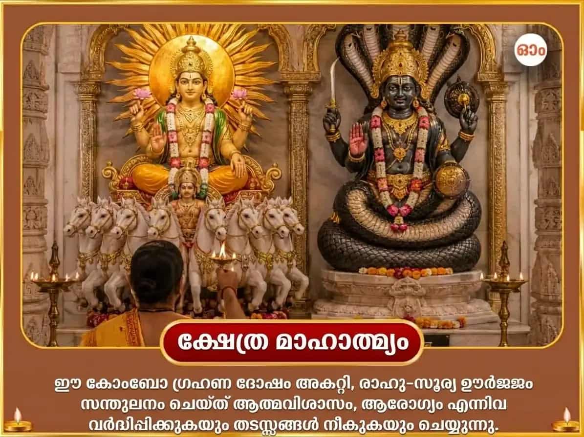 പിതൃപക്ഷ വിശേഷം ആദിത്യ ഹൃദയം സ്തോത്ര പാഠം സഹിതം 100 ലോട ജല അർഘ്യവും 21,000 രാഹു ബീജ മന്ത്ര ജപവും puja gallery 5