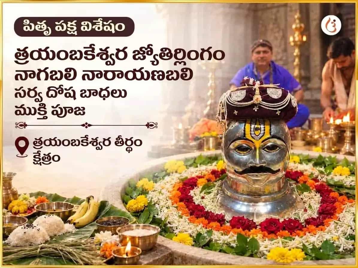 పితృ పక్ష విశేష్ త్రయంబకేశ్వర్ జ్యోతిర్లింగ నాగబలి & నారాయణబలి సర్వ దోష బాధ ముక్తి పూజ puja image 1
