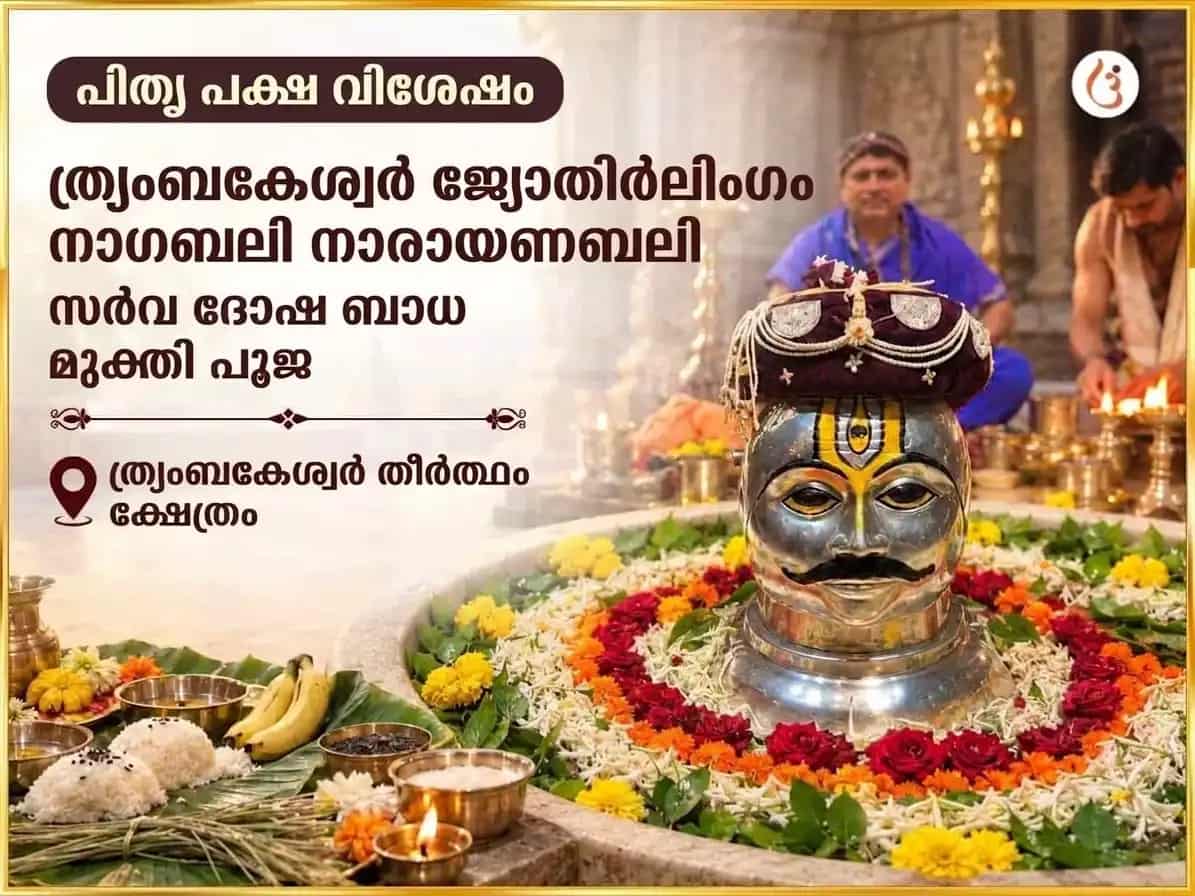 പിതൃപക്ഷ വിശേഷ ത്ര്യംബകേശ്വർ ജ്യോതിർലിംഗ നാഗബലി & നാരായണബലി സർവ്വ ദോഷ ബാധാ മുക്തി പൂജ puja image 1