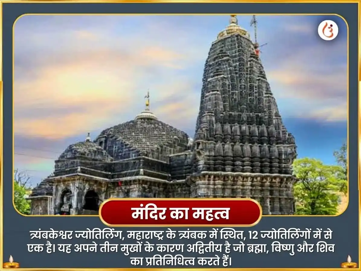 पितृ पक्ष विशेष त्र्यंबकेश्वर ज्योतिर्लिंग नागबलि एवं नारायणबलि सर्व दोष बाधा मुक्ति पूजा puja gallery 5