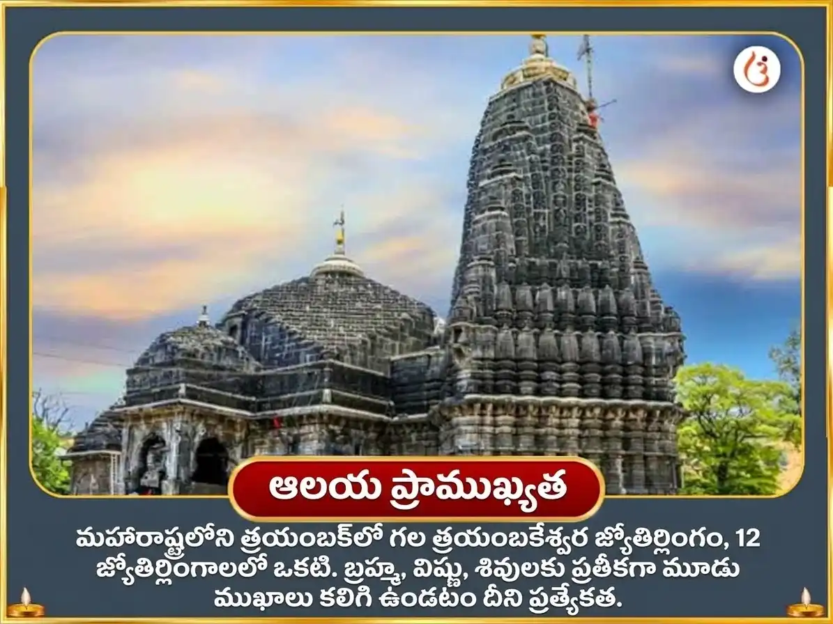 పితృ పక్ష విశేష్ త్రయంబకేశ్వర్ జ్యోతిర్లింగ నాగబలి & నారాయణబలి సర్వ దోష బాధ ముక్తి పూజ puja gallery 4