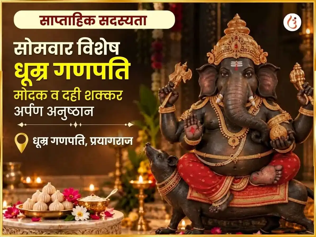सोमवार विशेष धूम्र गणपति साप्ताहिक गणेश मोदक और दही शक्कर अर्पण puja image 1