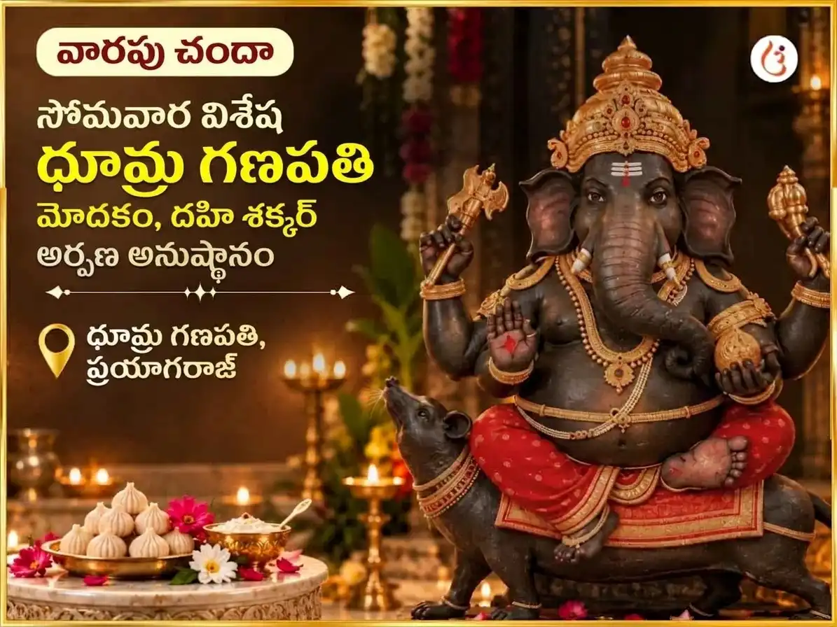 సోమవార్ విశేష్ ధూమ్ర గణపతి వారపు గణేష్ మోదక్ మరియు దహి శక్కర్ అర్పణ puja image 1
