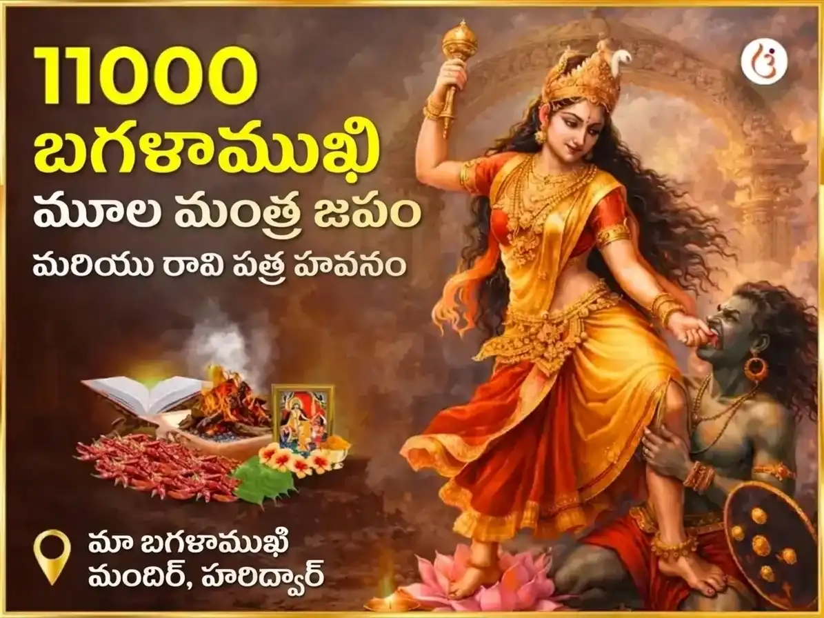అశ్విన్ కాలాష్టమి విశేష్ బగళాముఖి 11000 మూల మంత్ర జాప్ & పీపల్ పత్ర హవన్ puja image 1