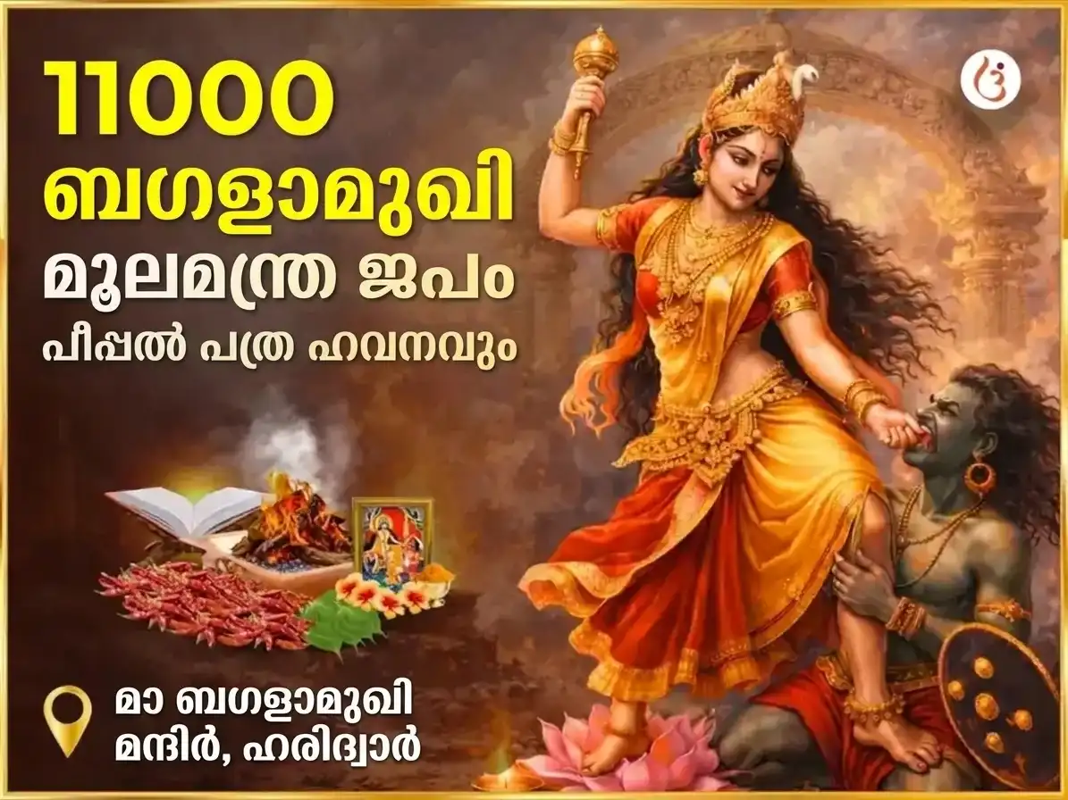 അശ്വിൻ കാലാഷ്ടമി വിശേഷ് ബഗളാമുഖി 11000 മൂലമന്ത്ര ജപം & പീപ്പൽ പത്ര ഹവനം puja image 1