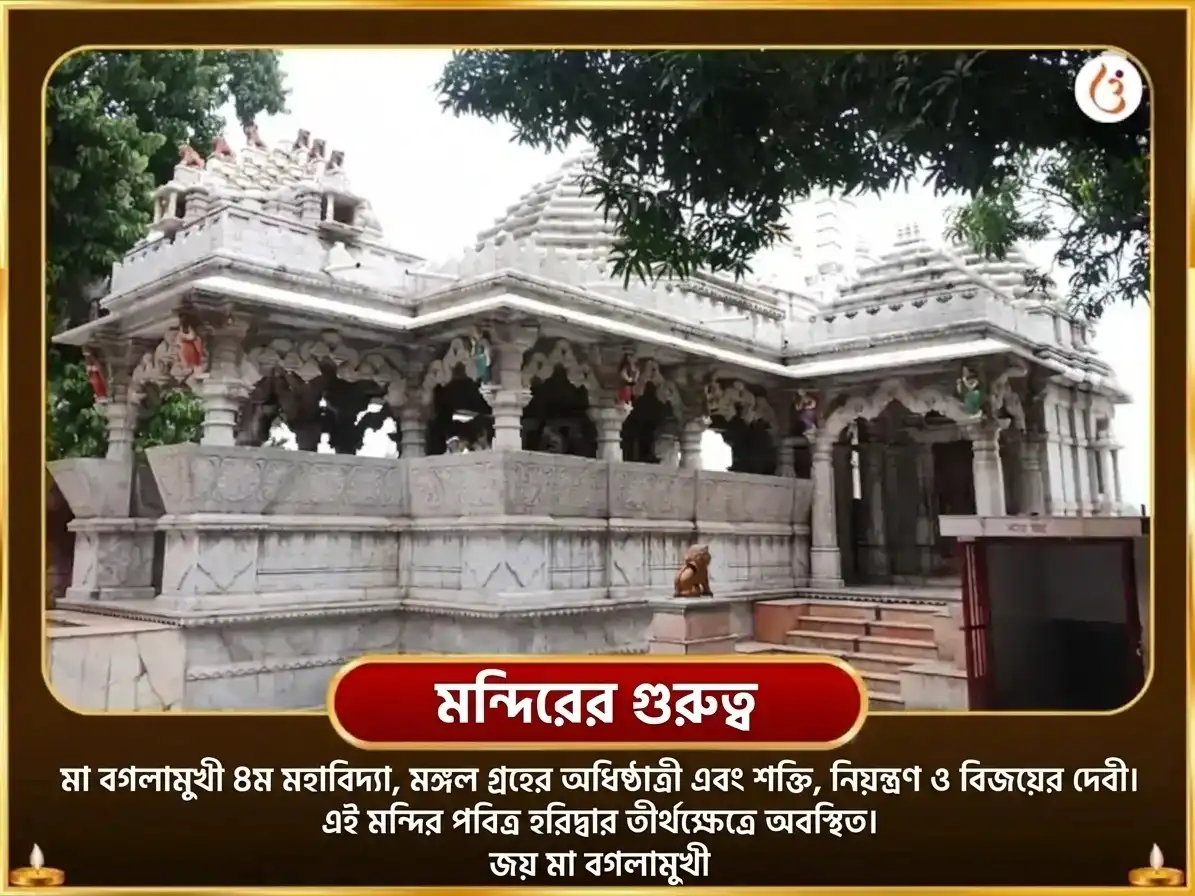 আশ্বিন কালাষ্টমী বিশেষ বগলামুখী 11000 মূল মন্ত্র জপ ও পিপল পত্র হবন puja gallery 4