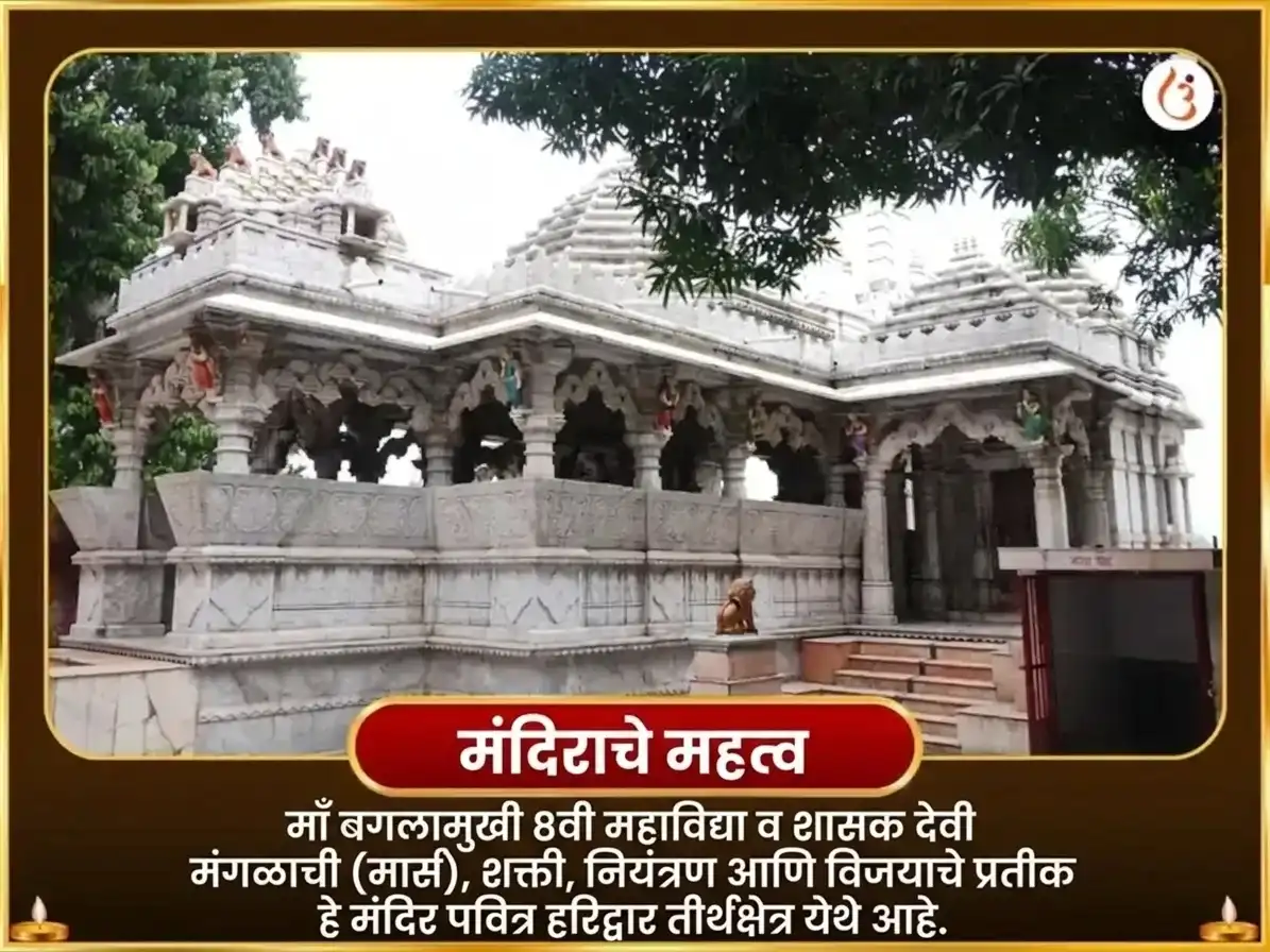 अश्विन कालाष्टमी विशेष बगलामुखी 11000 मूळ मंत्र जाप आणि पिंपळ पत्र हवन puja gallery 4