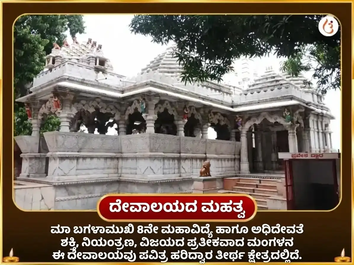 ಅಶ್ವಿನ್ ಕಾಲಾಷ್ಟಮಿ ವಿಶೇಷ ಬಗಲಾಮುಖಿ 11000 ಮೂಲ ಮಂತ್ರ ಜಪ ಮತ್ತು ಪೀಪಲ್ ಪತ್ರ ಹವನ puja gallery 4