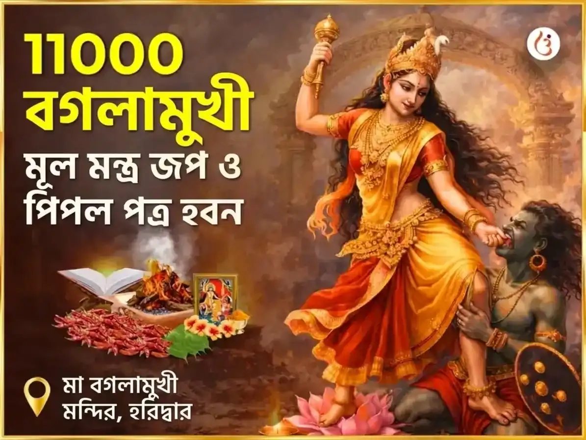 আশ্বিন কালাষ্টমী বিশেষ বগলামুখী 11000 মূল মন্ত্র জপ ও পিপল পত্র হবন puja image 1