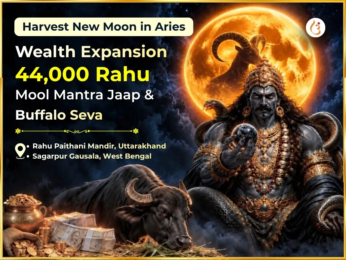 Harvest New Moon In Aries Special Wealth Expansion 44,000 Rahu Mool Mantra Jaap & Buffalo Seva puja image 1