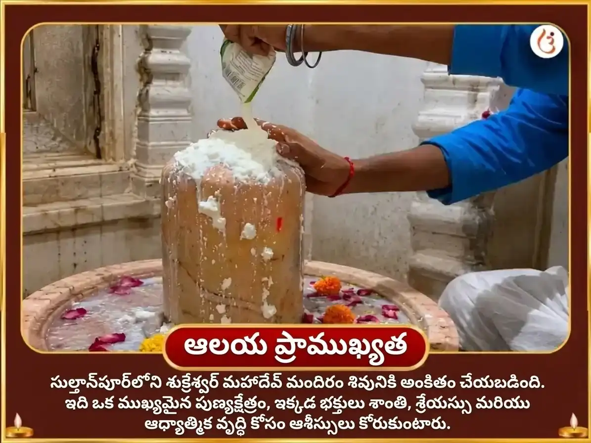 శుక్రవార విశేష్ శుక్రేశ్వర్ మహాదేవ్ 24,000 శుక్ర గాయత్రీ మంత్ర జాప్ మరియు ఖట్టా దహీ అభిషేక్ puja gallery 4