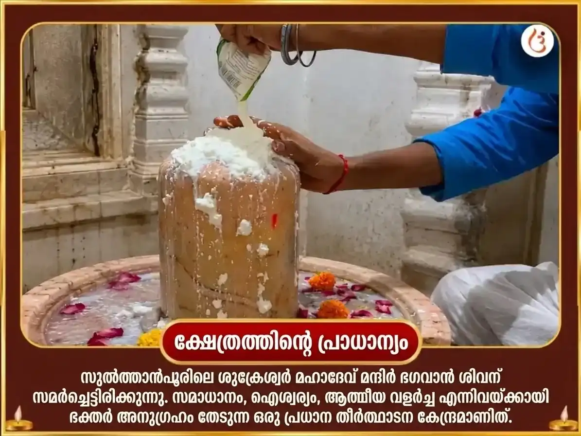 ശുക്രവാര വിശേഷം ശുക്രേശ്വര മഹാദേവ 24,000 ശുക്ര ഗായത്രി മന്ത്ര ജപവും ഖട്ടാ ദഹി അഭിഷേകവും puja gallery 4