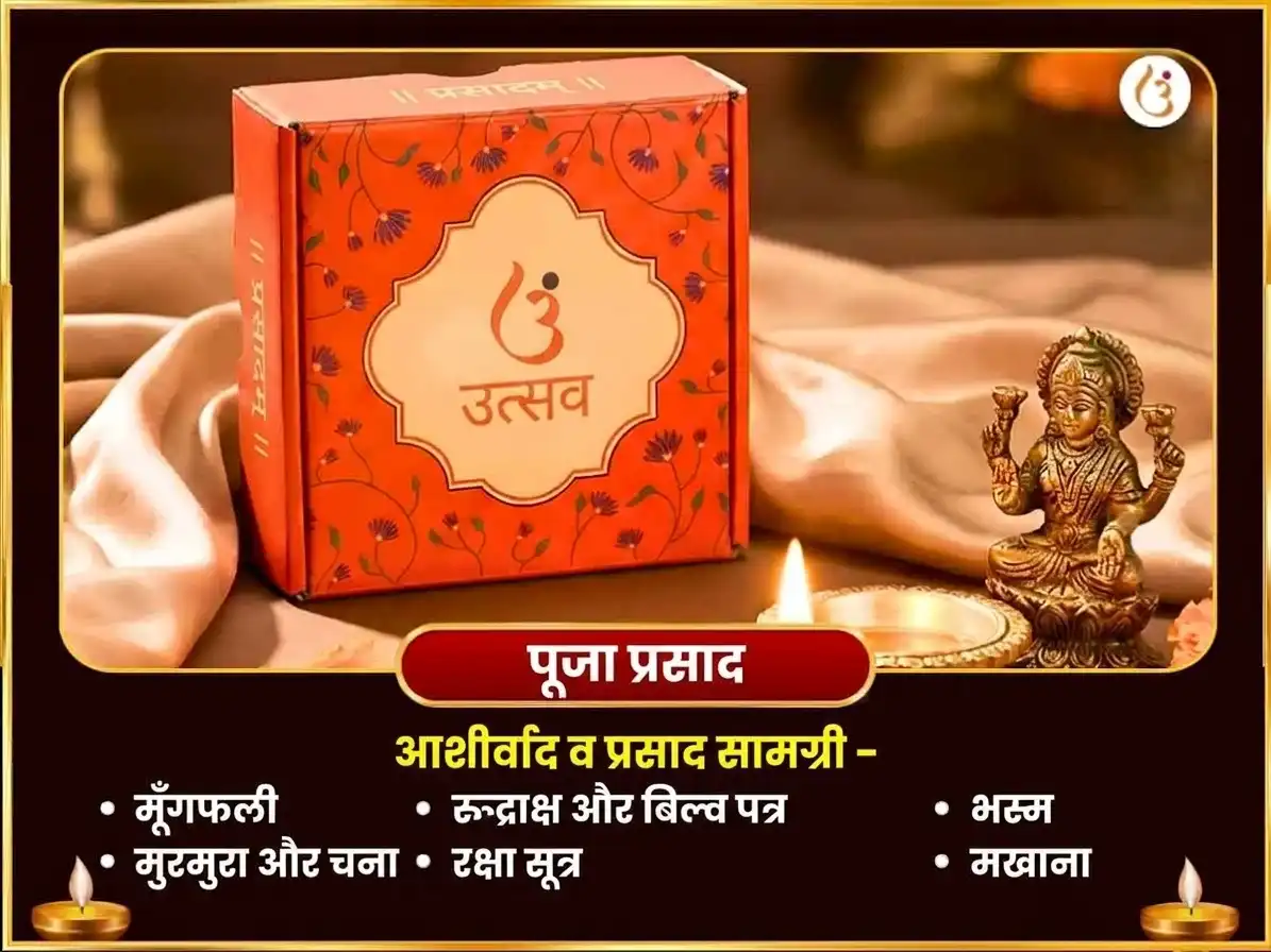 पितृ पक्ष सप्तमी तिथि विशेष अनार रक्त अभिषेक एवं कामेश्वर स्तोत्रम पाठ puja gallery 3