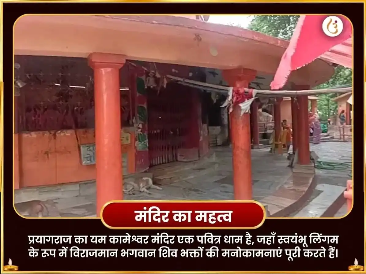 पितृ पक्ष सप्तमी तिथि विशेष अनार रक्त अभिषेक एवं कामेश्वर स्तोत्रम पाठ puja gallery 4
