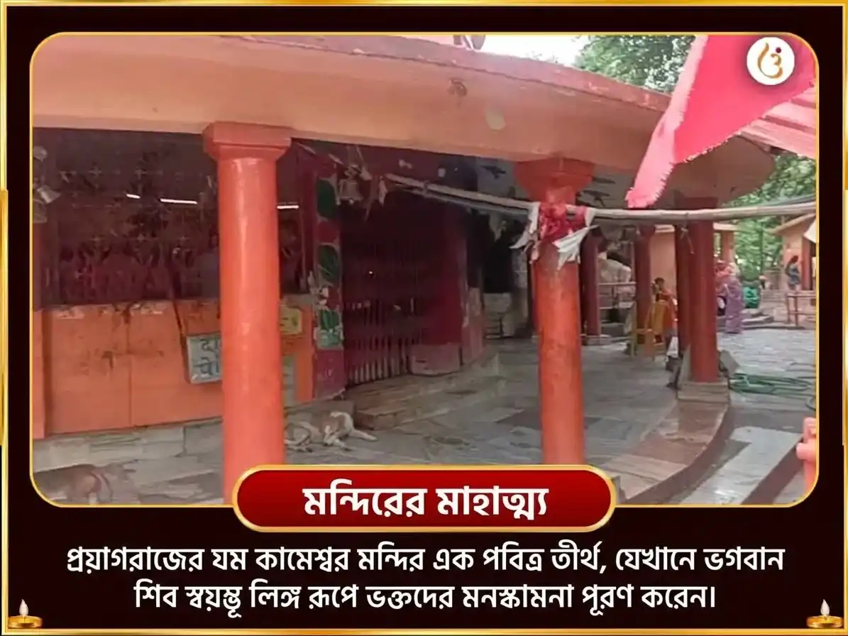 পিতৃ পক্ষ সপ্তমী তিথি বিশেষ আনার রক্ত অভিষেক এবং কামেশ্বর স্তোত্র পাঠ puja gallery 4