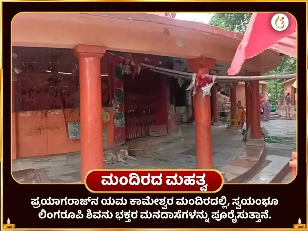 ಪಿತೃ ಪಕ್ಷ ಸಪ್ತಮಿ ತಿಥಿ ವಿಶೇಷ ಅನಾರ್ ರಕ್ತ ಅಭಿಷೇಕ ಏವಂ ಕಾಮೇಶ್ವರ ಸ್ತೋತ್ರಂ ಪಾಠ puja gallery 4