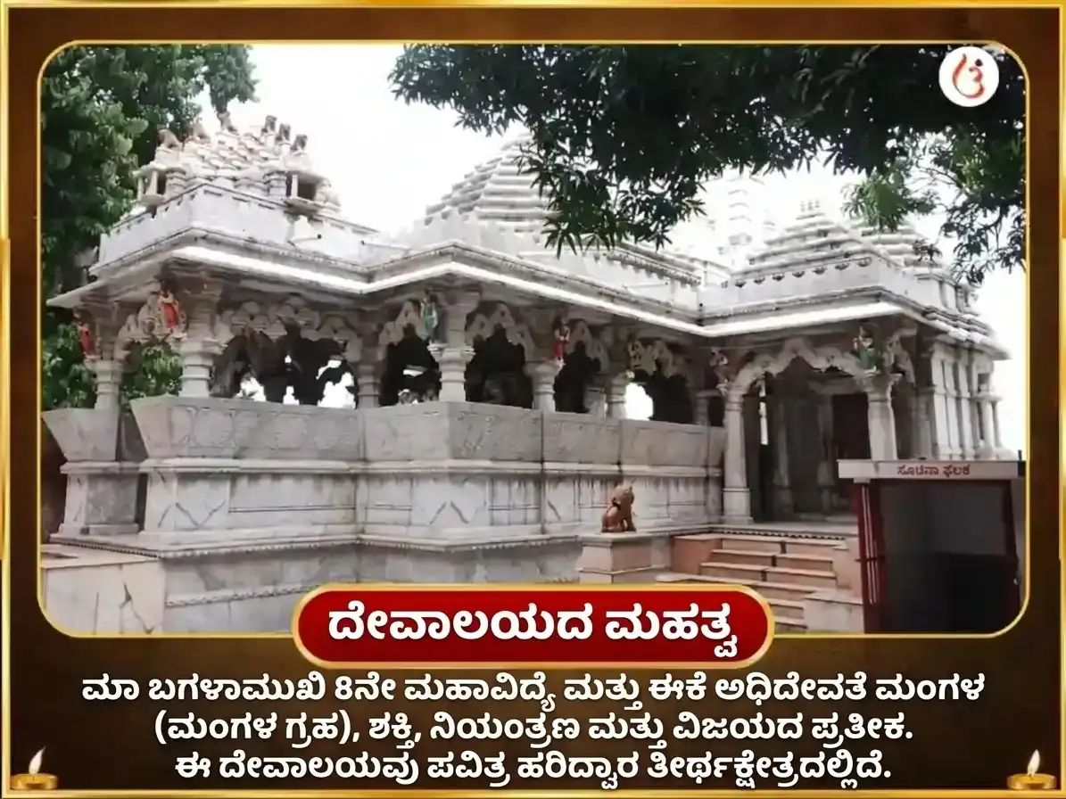 ಕಾಳ ಅಷ್ಟಮಿ ವಿಶೇಷ 51000 ಮೆಣಸಿನಕಾಯಿ ಮಾ ಬಗಳಾಮುಖಿ ಶತ್ರು ನಾಶಕ ಮಹಾ ತಂತ್ರ ಹವನ puja gallery 4