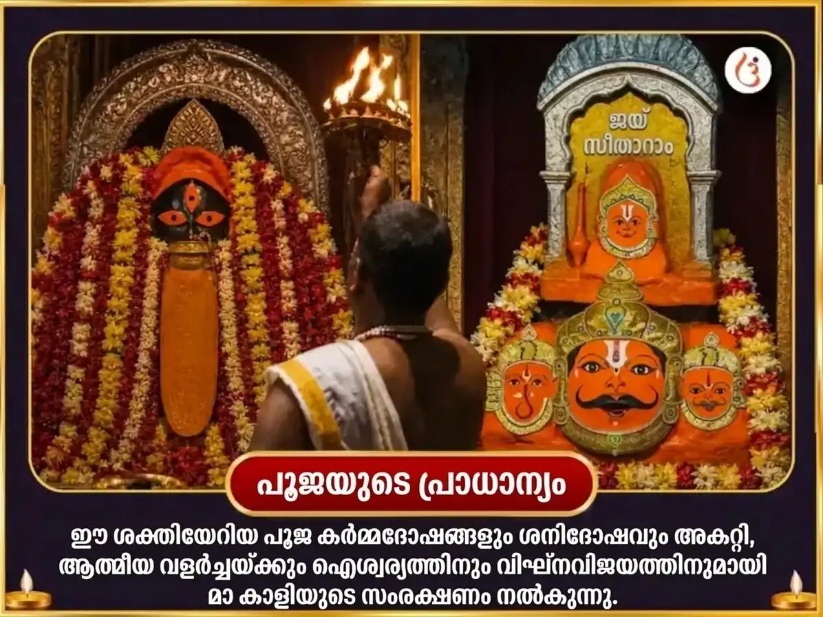 അശ്വിൻ കാല അഷ്ടമി വിശേഷ മാ കാളി താന്ത്രിക് ഹവനും നവഗ്രഹ ശനി വിശേഷ എണ്ണ & എള്ള് ദാനവും puja gallery 5