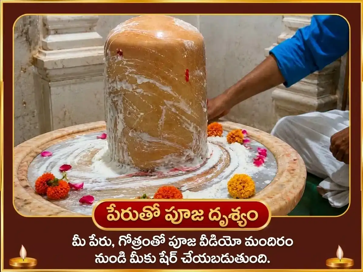 శుక్ర వక్రగతి ప్రత్యేక శుక్రేశ్వర్ మహాదేవ్ 24,000 శుక్ర గాయత్రీ మంత్ర జాప్ మరియు పుల్లటి పెరుగు అభిషేకం puja gallery 2