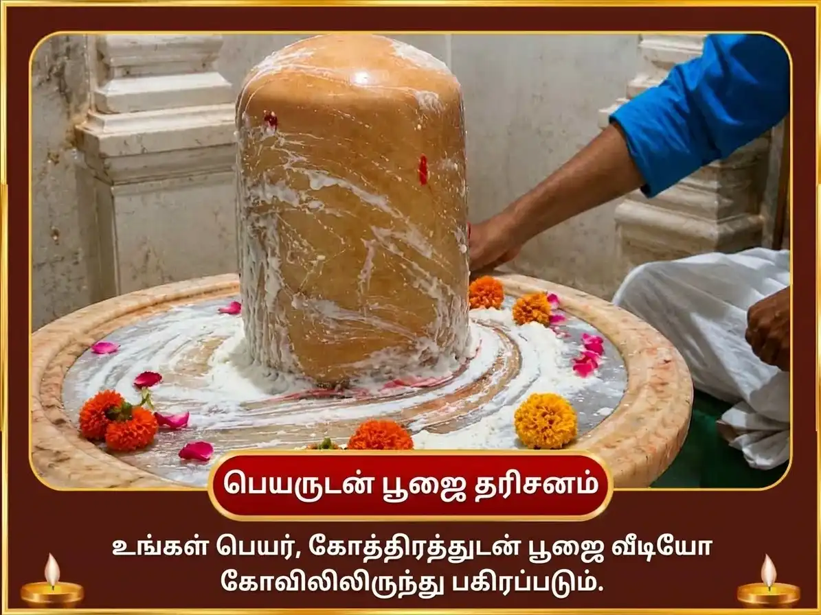 சுக்ர வக்ர பெயர்ச்சி சிறப்பு சுக்ரேஷ்வர் மஹாதேவ் 24,000 சுக்ர காயத்ரி மந்திர ஜபம் மற்றும் புளித்த தயிர் அபிஷேகம் puja gallery 2