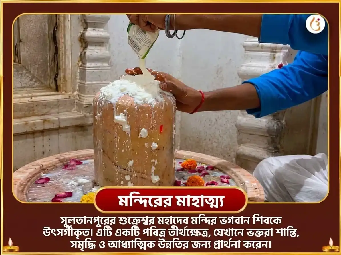 শুক্র বক্রী বিশেষ শুক্রেশ্বর মহাদেব 24,000 শুক্র গায়ত্রী মন্ত্র জপ ও টক দই অভিষেক puja gallery 4