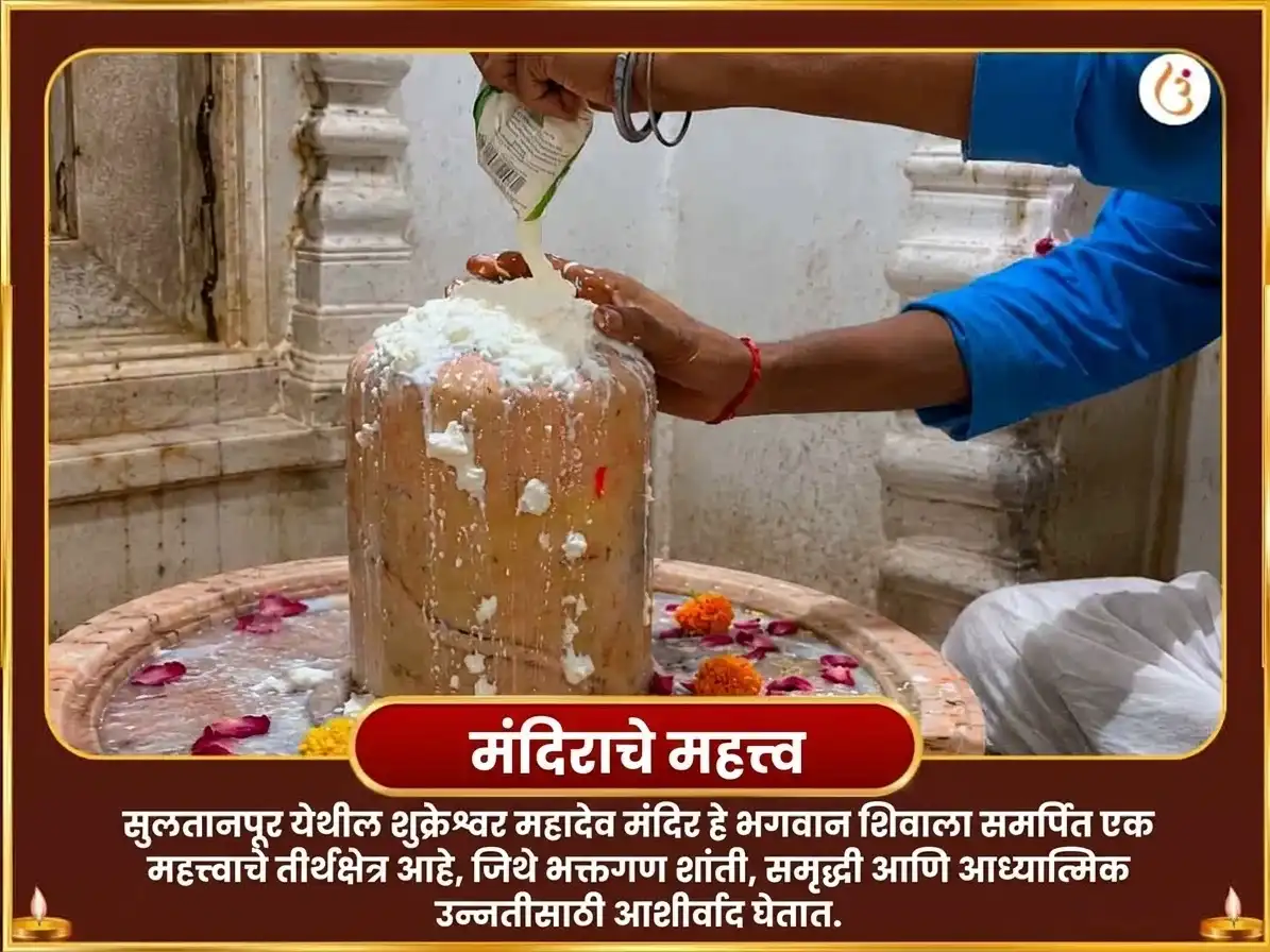 शुक्र वक्री विशेष शुक्रेश्वर महादेव 24,000 शुक्र गायत्री मंत्र जाप व आंबट दही अभिषेक puja gallery 4