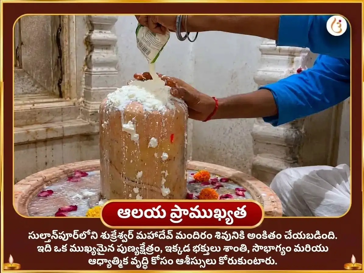 శుక్ర వక్రగతి ప్రత్యేక శుక్రేశ్వర్ మహాదేవ్ 24,000 శుక్ర గాయత్రీ మంత్ర జాప్ మరియు పుల్లటి పెరుగు అభిషేకం puja gallery 4