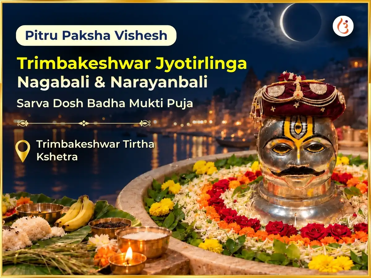 Sarva Pitra Amawsya Vishesh Trimbakeshwar Jyotirlinga Kshetra Nagabali & Narayanbali Sarva Dosh Badha Mukti Puja puja image 1