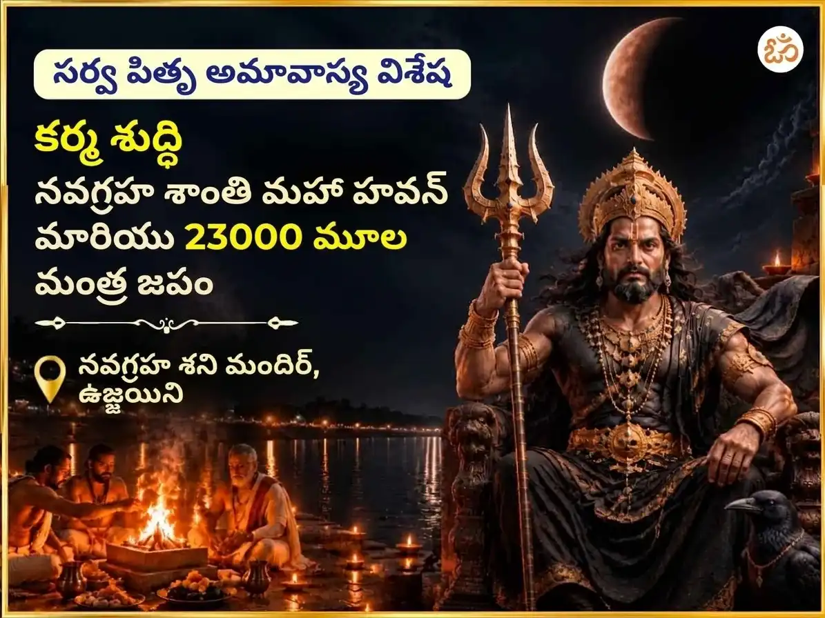 సర్వ పితృ అమావాస్య విశేష కర్మ శుద్ధి నవగ్రహ శాంతి మహా హవనం మరియు 23000 మూల మంత్ర జపం puja image 1