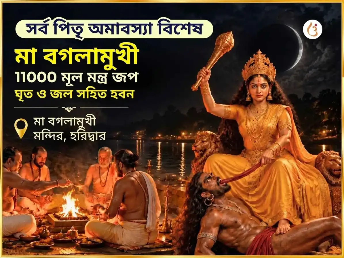 সর্ব পিতৃ অমাবস্যা বিশেষ মা বগলামুখী 11000 মূল মন্ত্র জপ সহিত সর্ব শত্রু সংহার ঘি জল যজ্ঞ puja image 1