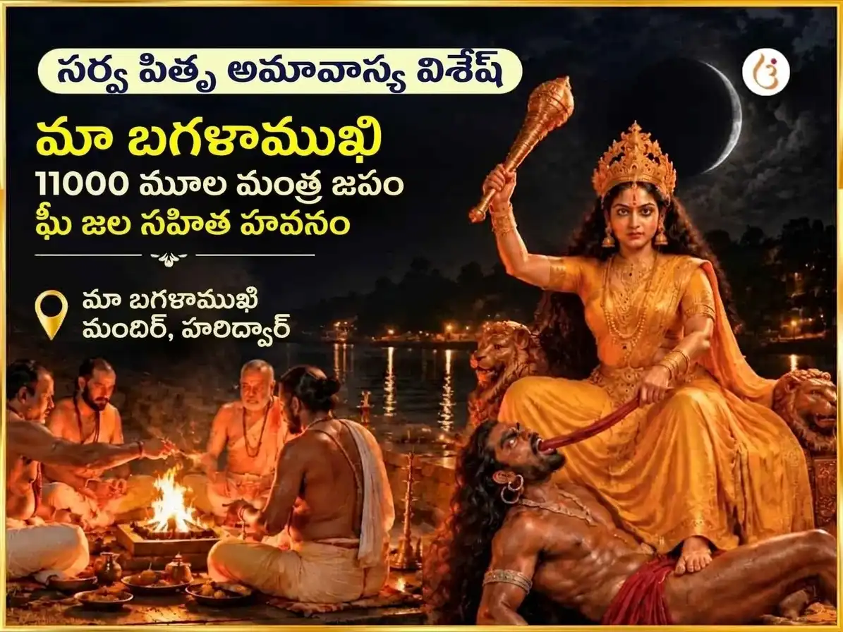 సర్వ పితృ అమావాస్య విశేష్ మా బగళాముఖి 11000 మూల మంత్ర జప సహిత సర్వ శత్రు సంహార ఘీ జల హవనం puja image 1