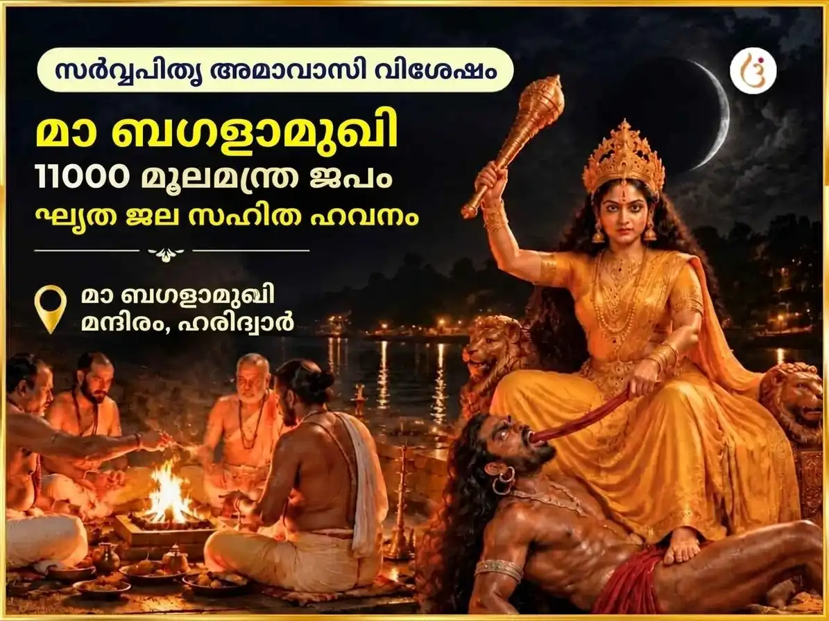 സർവ്വ പിതൃ അമാവാസി വിശേഷ് മാ ബഗളാമുഖി 11000 മൂലമന്ത്ര ജപം സഹിതം സർവ്വ ശത്രു സംഹാര നെയ്യ് ജല ഹവനം puja image 1