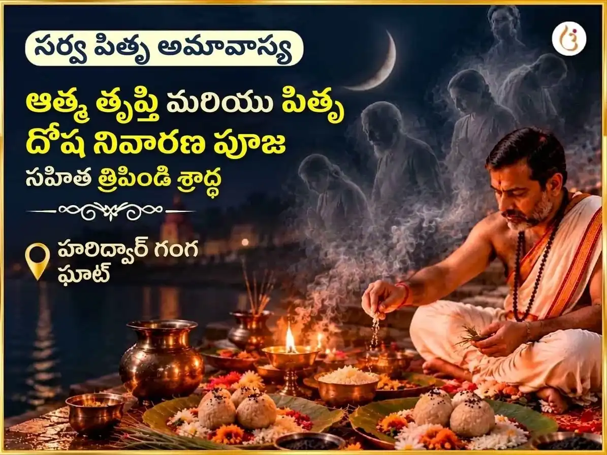 సర్వ పితృ అమావాస్య విశేష్ ఆత్మ తృప్తి & పితృ దోష నివారణ పూజ సహిత త్రిపిండి శ్రాద్ధ puja image 1