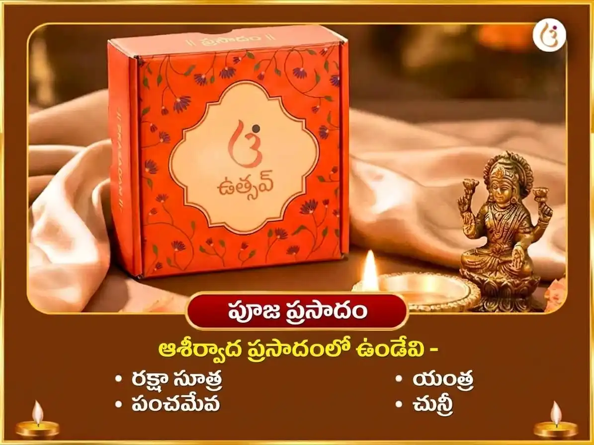 సర్వ పితృ అమావాస్య విశేష్ మా బగళాముఖి 11000 మూల మంత్ర జప సహిత సర్వ శత్రు సంహార ఘీ జల హవనం puja gallery 3