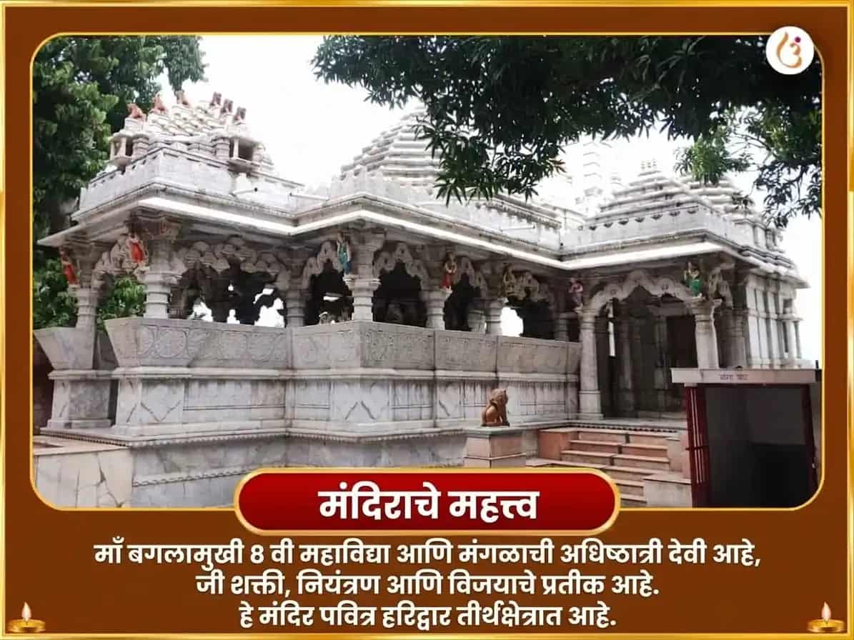सर्व पितृ अमावस्या विशेष मा बगलामुखी 11000 मूळ मंत्र जाप सहित सर्व शत्रु संहार घी जल हवन puja gallery 4