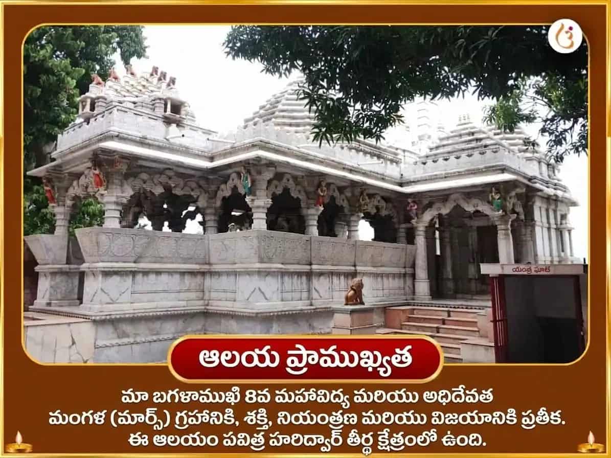 సర్వ పితృ అమావాస్య విశేష్ మా బగళాముఖి 11000 మూల మంత్ర జప సహిత సర్వ శత్రు సంహార ఘీ జల హవనం puja gallery 4
