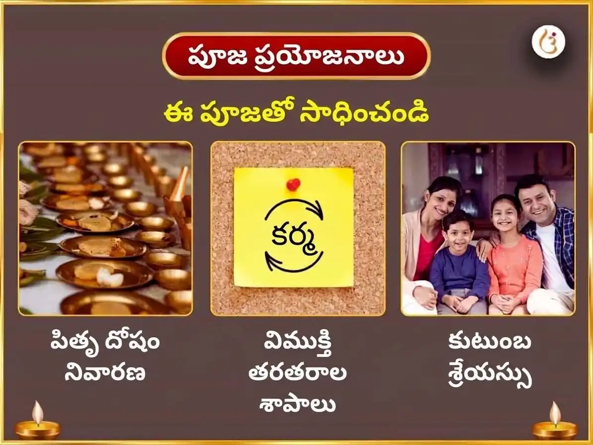 సర్వ పితృ అమావాస్య విశేష గయ తీర్థ పితృ శాంతి తర్పణం మరియు పిండ ప్రదానం puja gallery 1