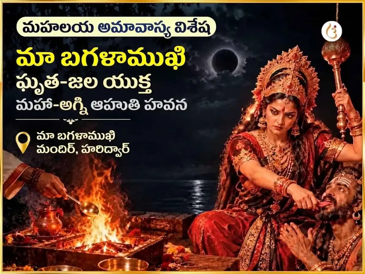 మహాలయ అమావాస్య విశేష్ మా బగళాముఖి ఘృత-జల యుక్త మహా-అగ్ని ఆహుతి హవనం puja image 1